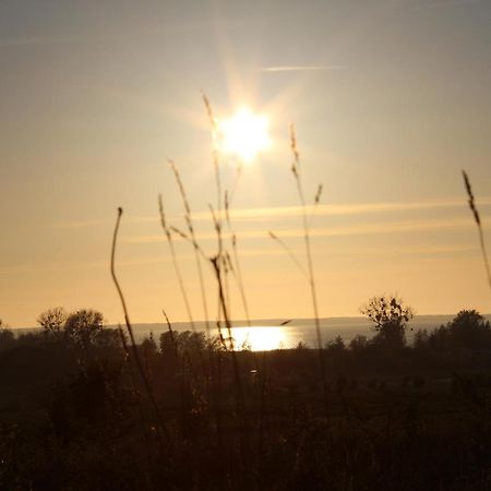 Agroturystyka Pod Kogutkiem Czysta Exteriér fotografie