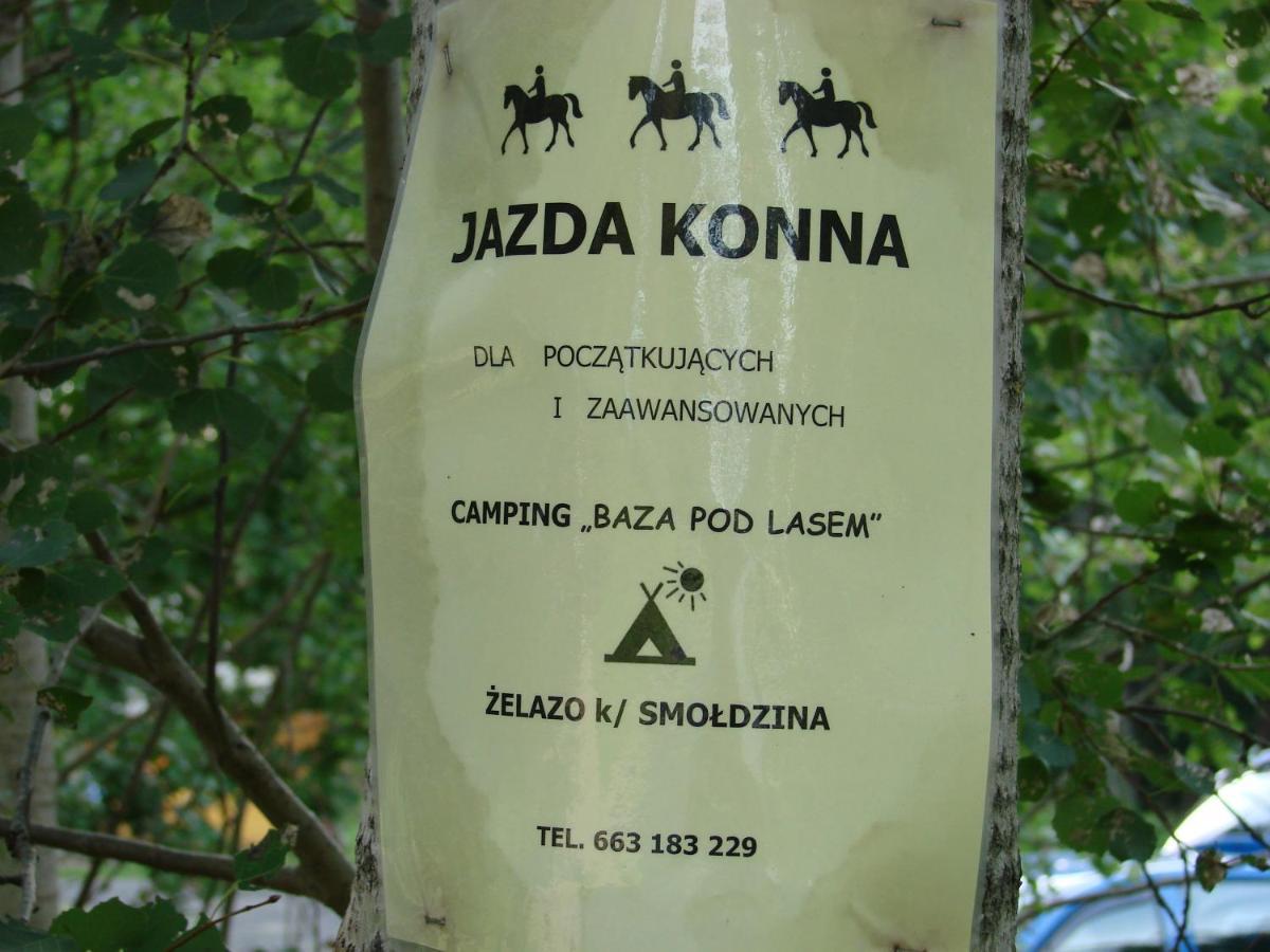 Agroturystyka Pod Kogutkiem Czysta Exteriér fotografie