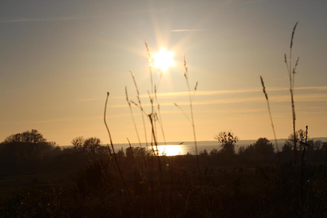 Agroturystyka Pod Kogutkiem Czysta Exteriér fotografie